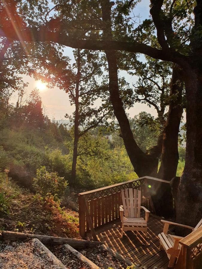 Monteze Paradis Bed and breakfast *