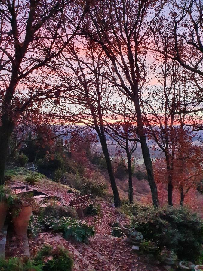 Montèze Paradis