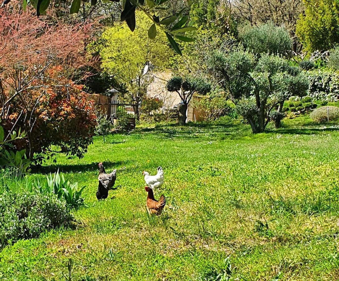 Monteze Paradis Bed and breakfast